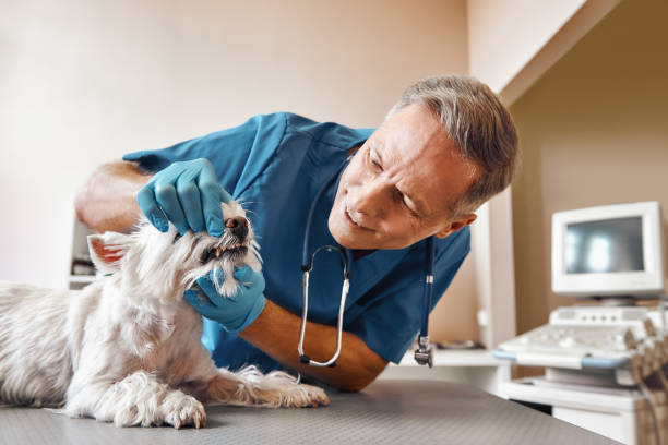 Best Urgent Dental Care in Cloverdale, VA